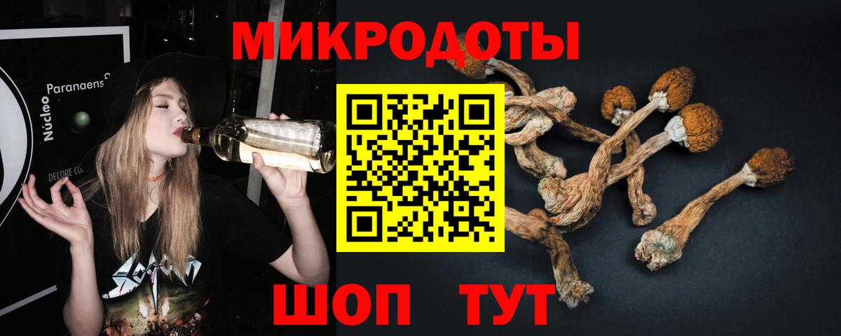Можга  Галлюциногенные грибы прущие грибы  Вход с VPN 